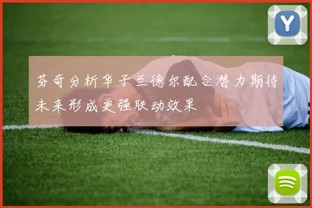芬奇分析华子兰德尔配合潜力期待未来形成更强联动效果